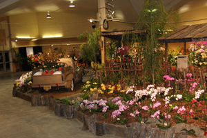 Display by Ventura Farms a